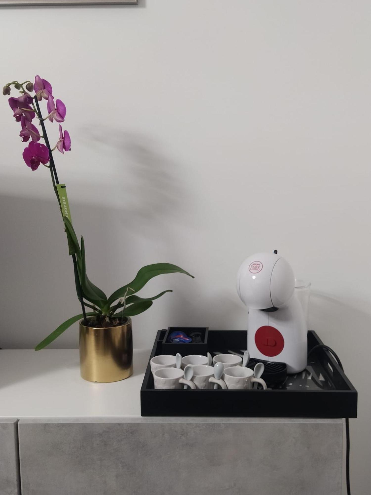 La Perla Del Mare - 9 Minutes From Fco Airport - Free Wifi E Netflix Apartment Fiumicino Ngoại thất bức ảnh